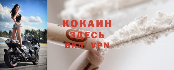 мяу мяу мука Горняк